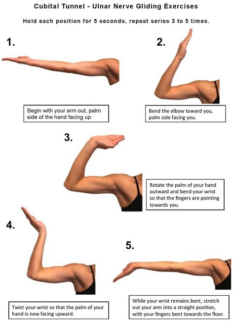 Exercises For Radial Nerve Palsy