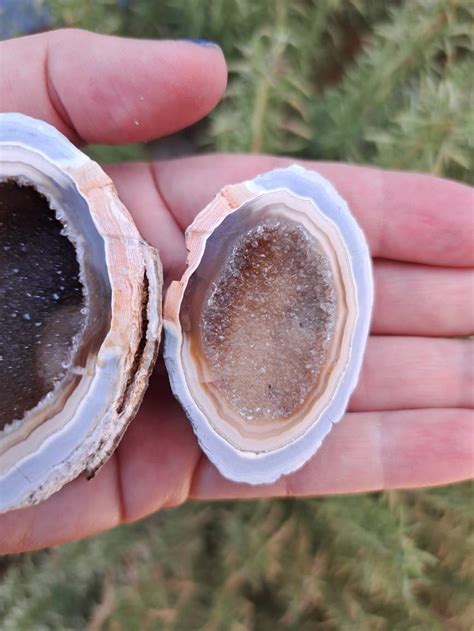 oz geode cut   geode pair polished geode  etsy