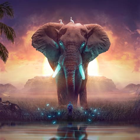 Elephant Art Iphone Wallpaper