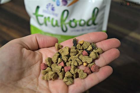 how to get my picky dog to eat