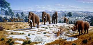 Mesolithic decline, animals, how did Mesolithic era impact the world