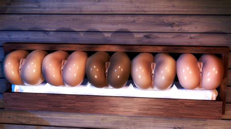 holes  choose  scrolller