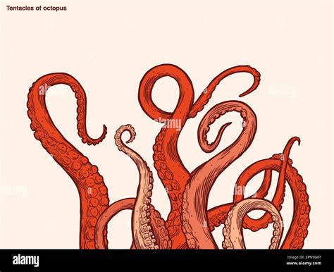 tentacles design