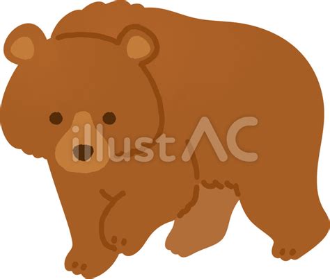 クマイラスト - No: 22668306／無料イラスト/フリー素材なら「イラストAC」