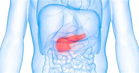 VIPoma: Overview, Symptoms, and… | Cary Gastroenterology Associates