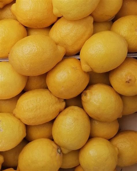 limone le meraviglie della frutta