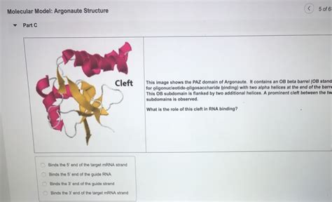 Solved Molecular Model: Argonaute Structure 5 of 6 Part C | Chegg.com