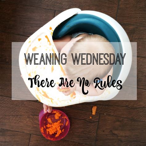 Weaning Wednesday {Week One} - There Are No Rules - Lamb & Bear