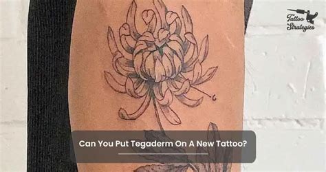 How To Use Tegaderm For Tattoo Aftercare