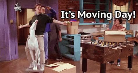 Moving Day GIFs | Tenor