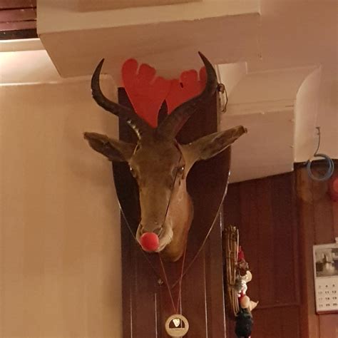 Rudolph the Ret-conned Gnu : r/funny