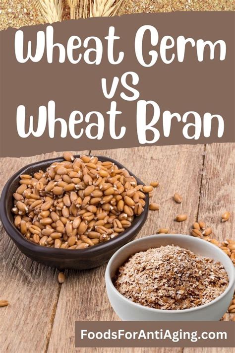 wheat germ  wheat bran    lets compare wheat germ