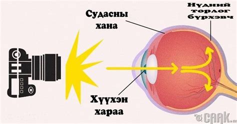 Хүмүүс зурган дээр яагаад улаан нүдтэй гардаг вэ?