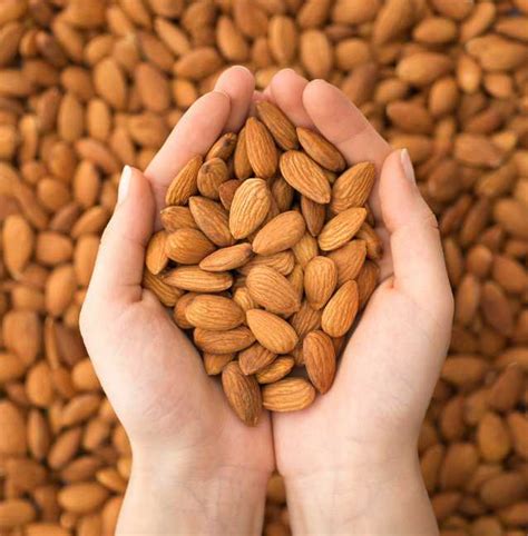 almonds    organic