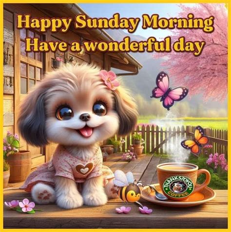 cute puppy coffee happy sunday morning pictures   images