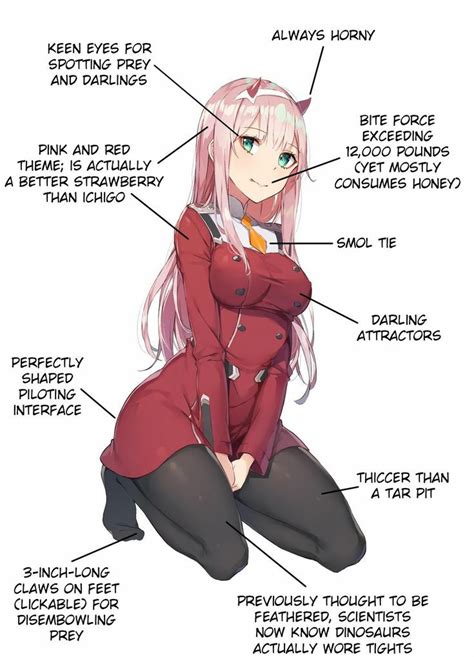 Perfect waifu : r/ZeroTwo