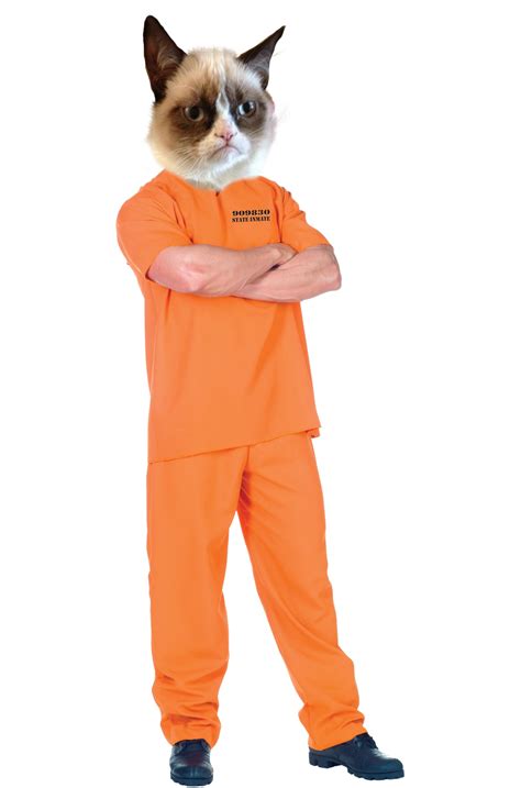 Will Cat | XCVverse Wiki | Fandom