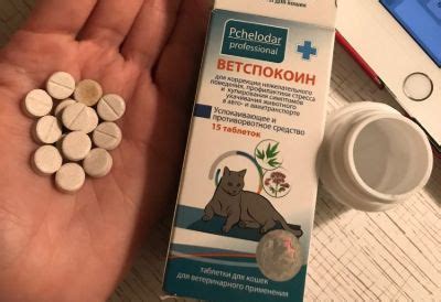 Ветспокоин для кошек: инструкция, состав таблеток и суспензии ...