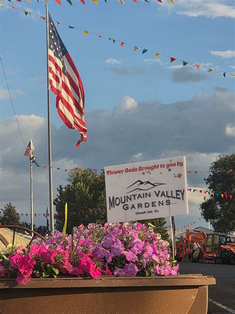 Ellie-Jayne Designs updated their... - Ellie-Jayne Designs