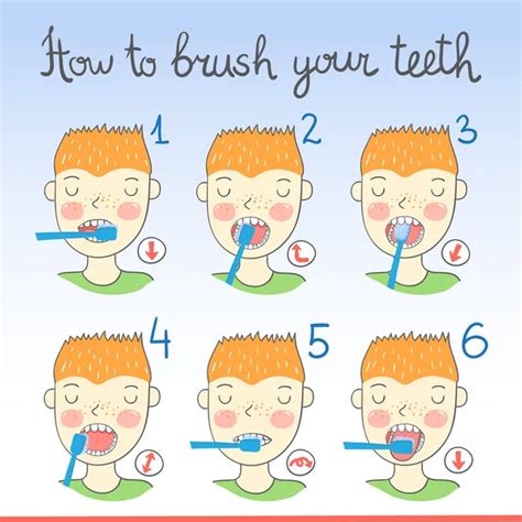 Instructions on how to brush your teeth — Stock Vector © whynotme.cz ...