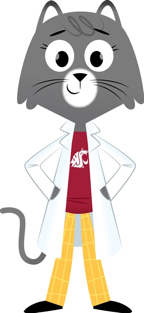 Why do we have a tailbone? | Ask Dr. Universe | Washington State University