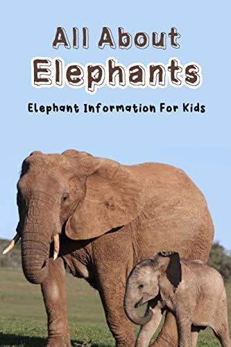 All About Elephants: Elephant Information For Kids: Fun And Amazing Facts About Elephants For ...