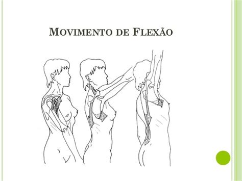Flexao E Extensao De Ombro - Complexo do ombro