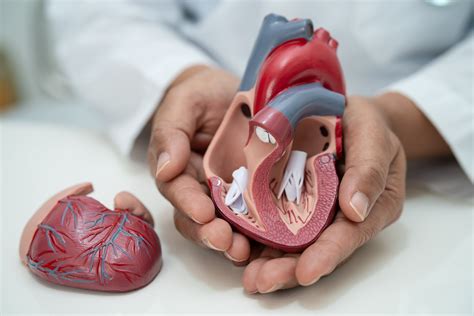 Could Your Shortness of Breath be a Symptom of Aortic Valve Stenosis?