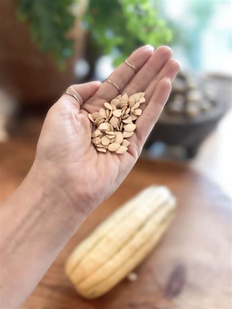 advantages  seed saving committed approach  gardening cocoonraw