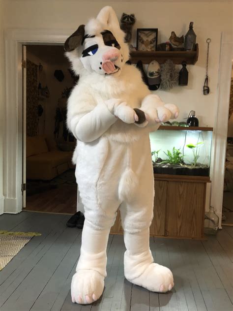 🍂 Stag 🍂 @ Victae + Psykhe Suits on Twitter: "Puppy girl alert