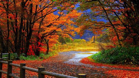 Seasonal Wallpapers - Top Free Seasonal Backgrounds - WallpaperAccess