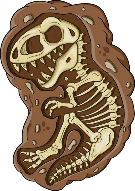 Cartoon Fossils