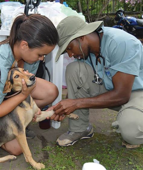 Texas A&M University Veterinary Student Awarded Marshall Scholarship