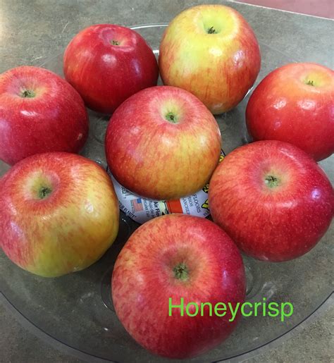 Dawn Honeycrisp Porn