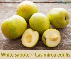 Health-benefits-of-White-Sapote | Health Benefits