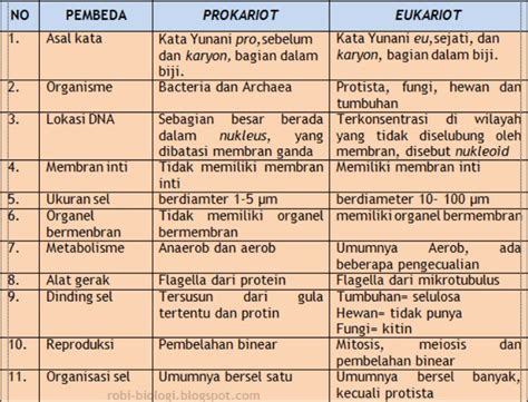 Detail Gambar Sel Prokariotik Dan Eukariotik Sel Prokariotik Dan ...