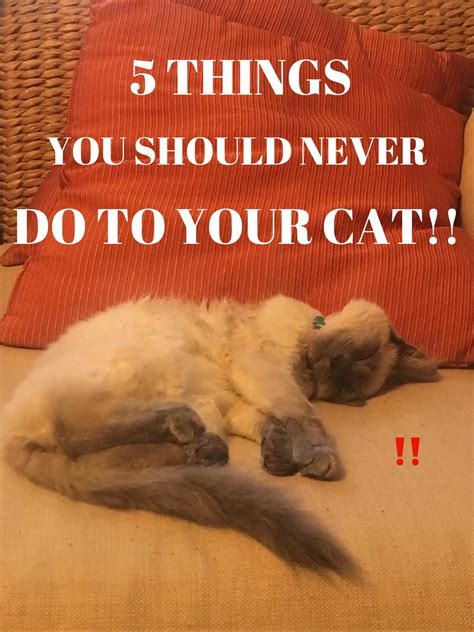 Forum Candid: 5 Things You Should Never Do Image 9