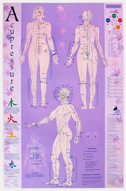 Acupuncture-Acupressure Point Reference Chart | Acupressure points ...