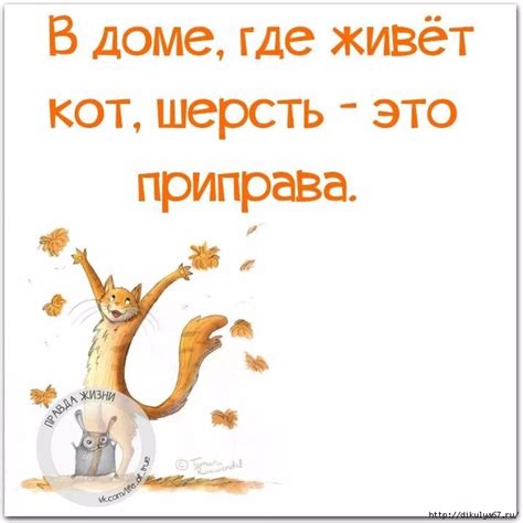 Юмор | Юмор