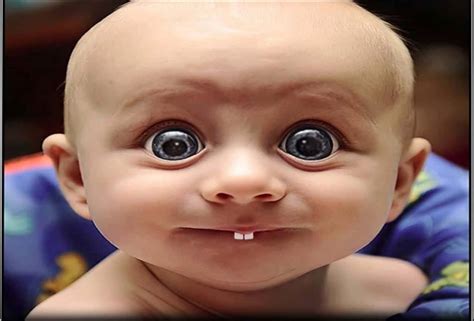 super funny pictures wallpaperscom