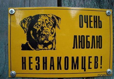 Ахтунг! Злюкен собакен. Яйцен клац-клац