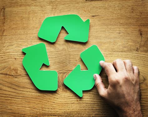 Como Podemos Contribuir Para O Consumo Sustentável Dos Produtos Florestais