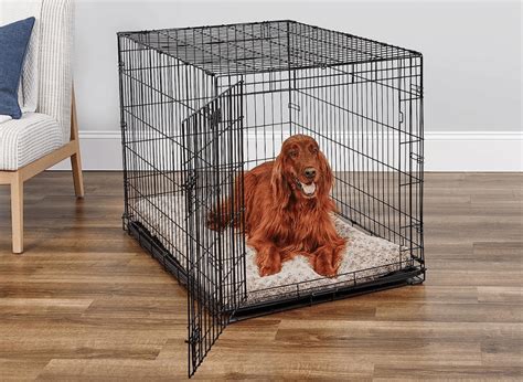 The Perfect Solution: A Dog Crate with Divider