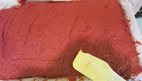 Cichlid Food Recipe - Pet Food Guide
