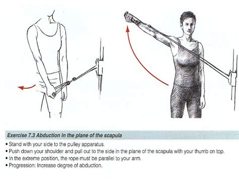 Lecture 10 shoulder rehab