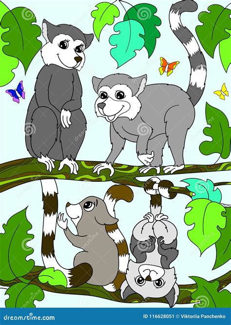 lemurs cartoon 9