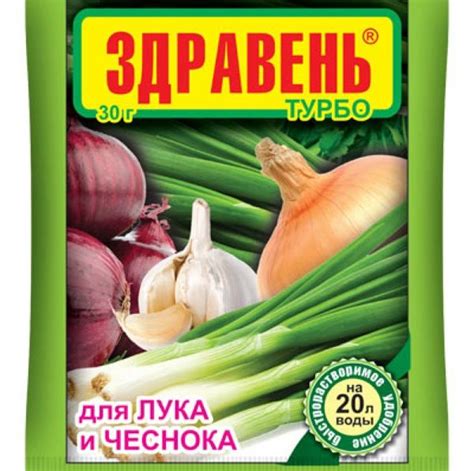 Почему чеснок желтеет весной: что делать, чем полить или подкормить ...