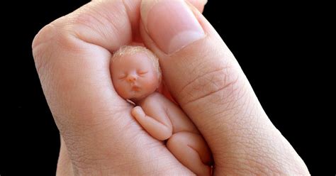 Babies That Fit Inside The Palm Of Your Hand By Camille Allen | DeMilked