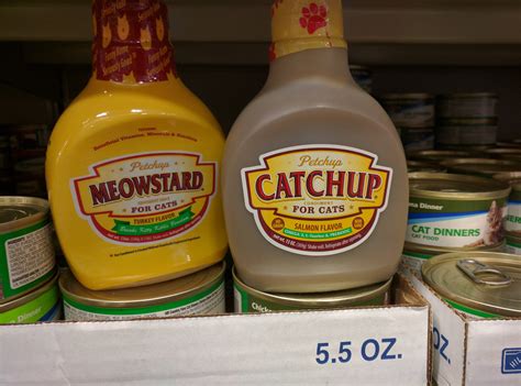 Your cat isn't spoiled enough : r/funny