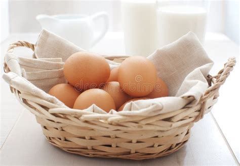 fresh eggs stock photo image  food dairy nature